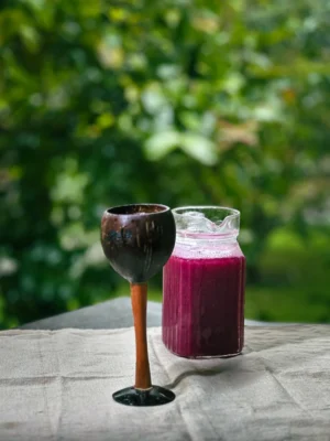 Coconut Shell & Wooden Wine Glasses ( Set of 2 )