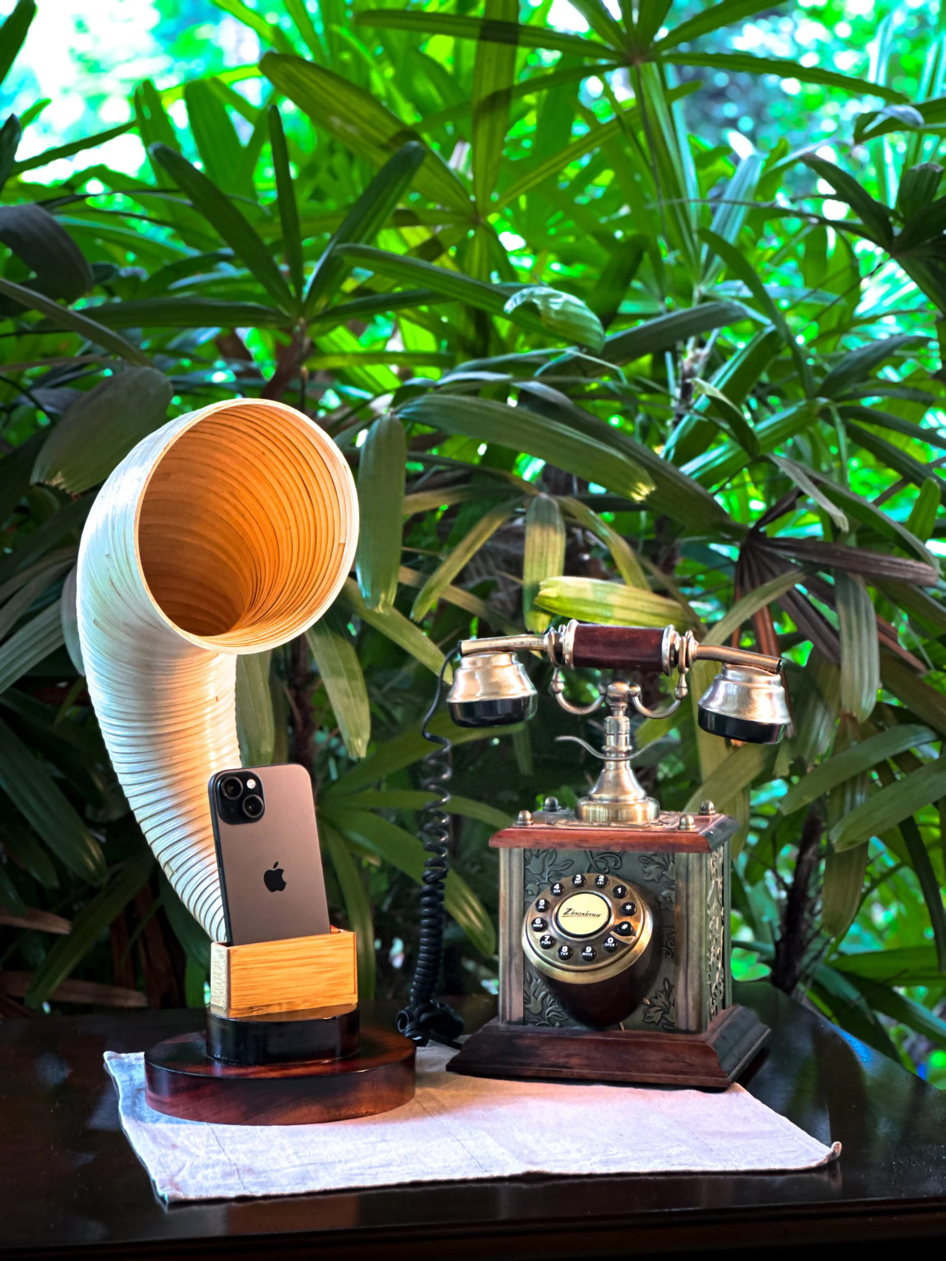 Ela coconut shell mobile speaker | Natural sound, zero power