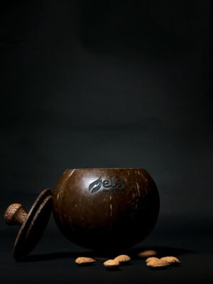 Coconut Shell Storage Container with Lid