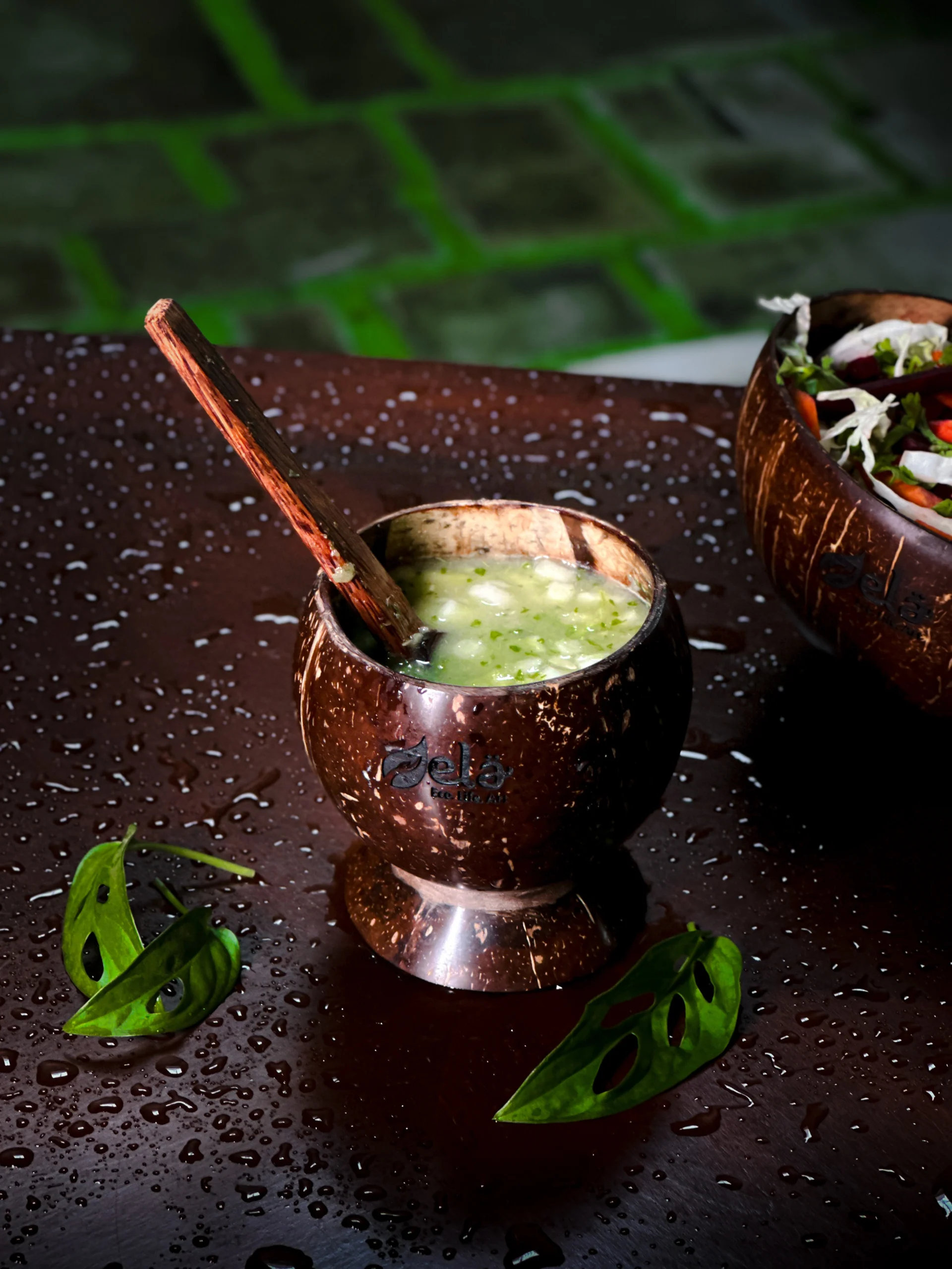 Coconut Shell Artisan Soup Bowl & Spoon