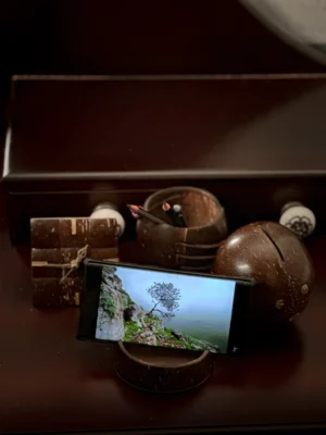 Coconut Shell Mobile Holder/Stand