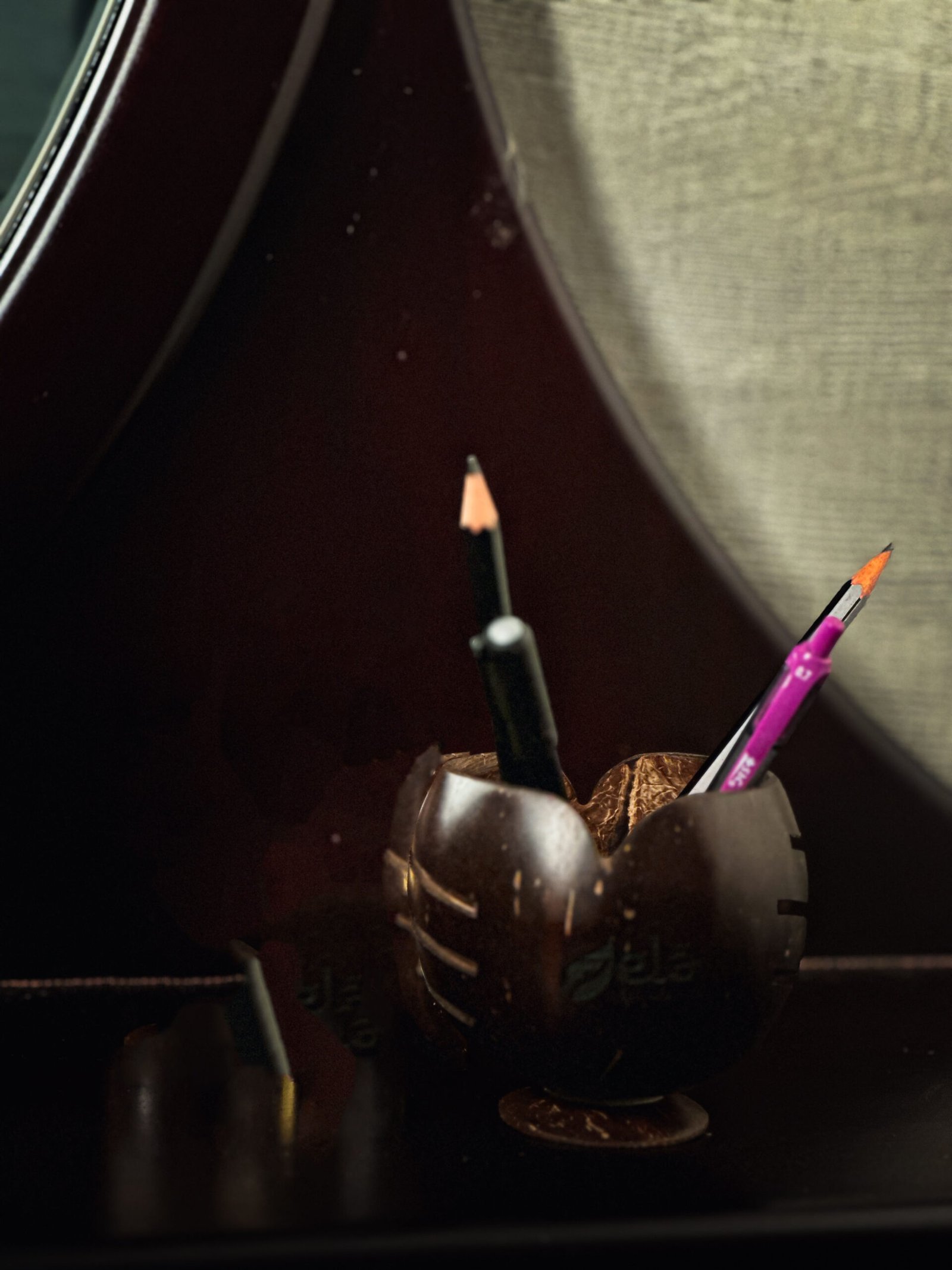 Coconut Shell Pen Holder/Stand