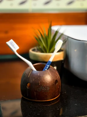Eco-Friendly Coconut Shell Toothbrush Holder