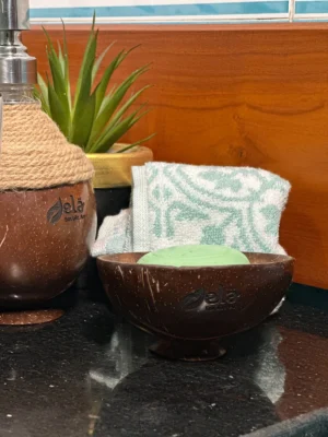 Coconut Shell Soap Dish / Soap holder