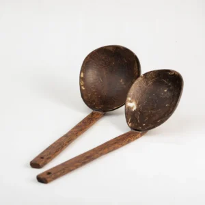 Coconut Shell Serving Spoon (Set of 2)